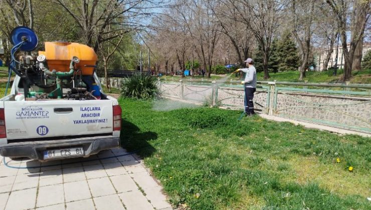 Gaziantep Büyükşehir, ilaçlama çalışmalarına yoğunlaştı